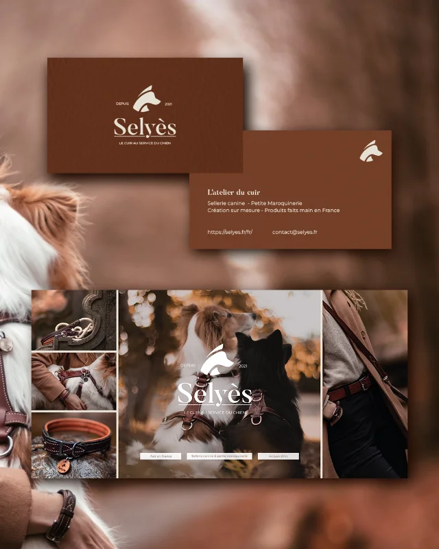 Selyes-Studiotrois-Quart-Montauban-82